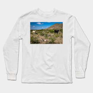 Criollo Cattle on the Open Range Long Sleeve T-Shirt